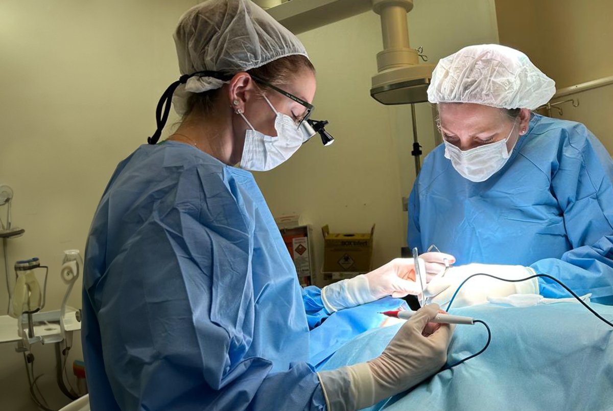 Tratamento Para Tireoide