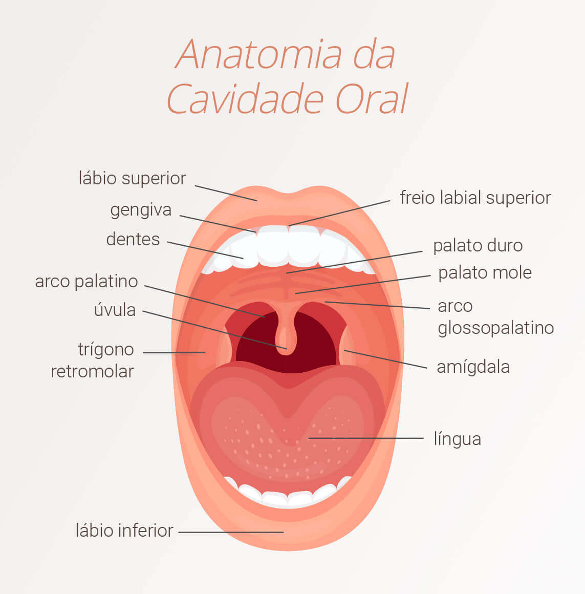 Tratamento de Câncer
de Boca - Câncer de Cavidade Oral