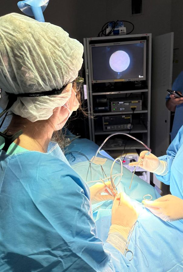 Dra. Christiana Vanni em Sialoendoscopia