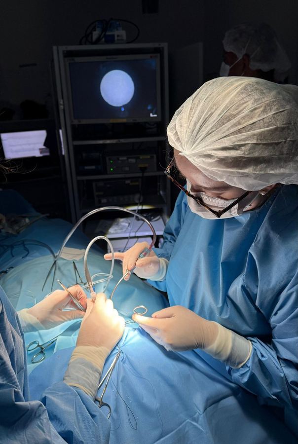 Dra. Christiana Vanni em Sialoendoscopia